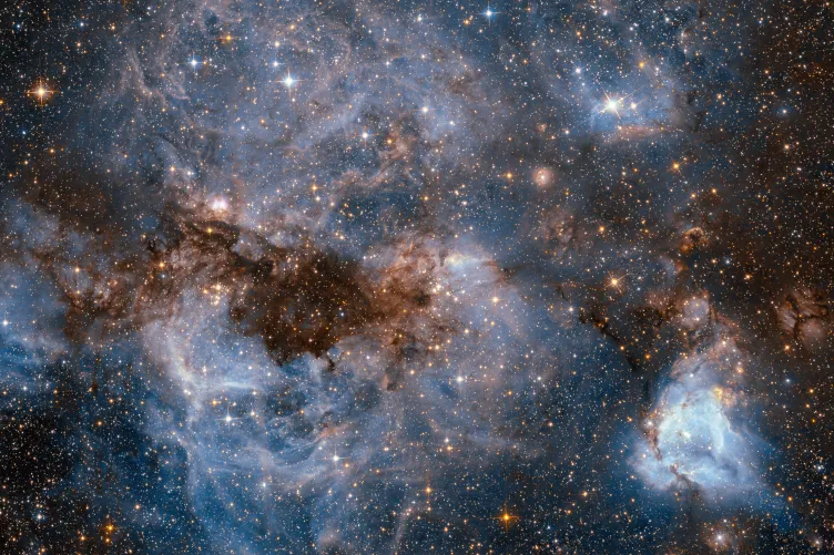 NASA/ESA Hubble Space Telescope shows a maelstrom of glowing gas and dark dust within one of the Milky Way’s satellite galaxies, the Large Magellanic Cloud (LMC).
